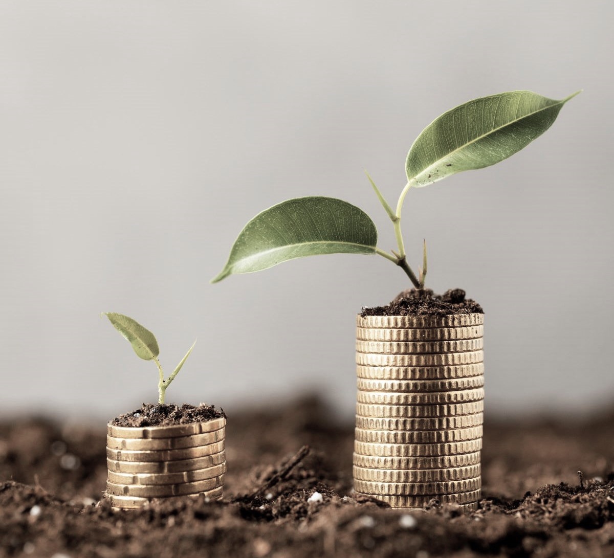 investiții în 2025